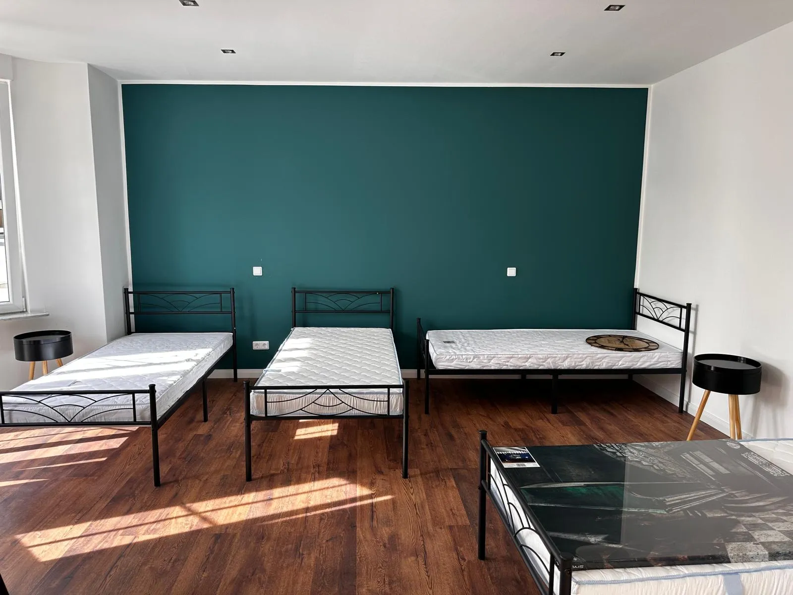 Apartment Rosa